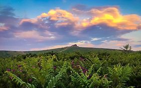 Haytor Court, Haytor, Dartmoor